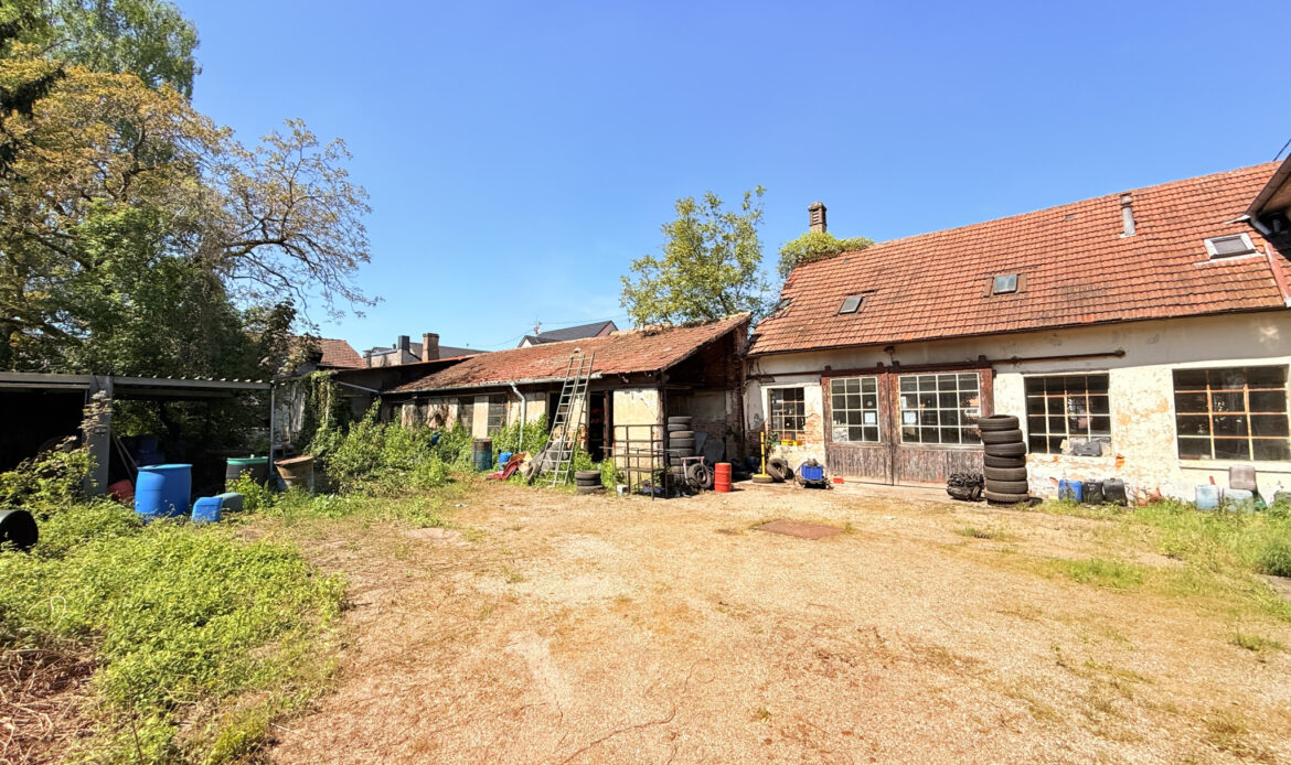 9109a385.jpg