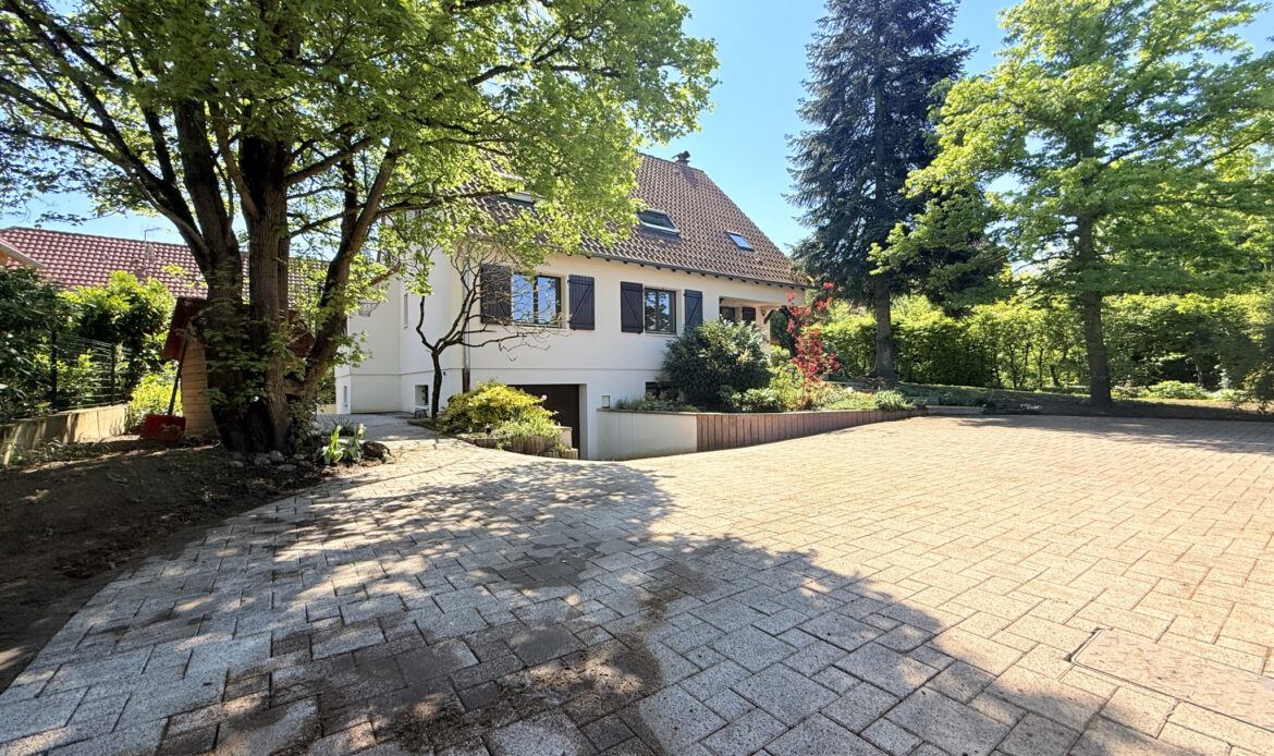 d940c18f.jpg
