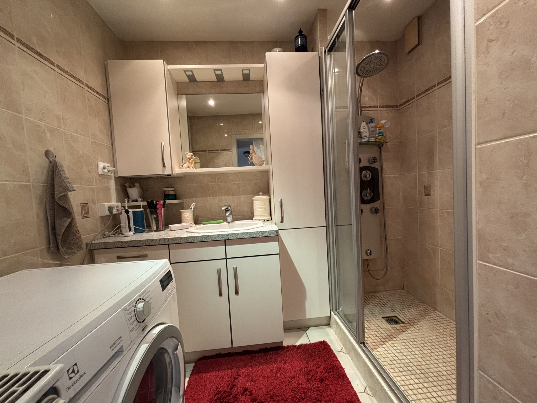 Appartement 3pièces en viager occupé