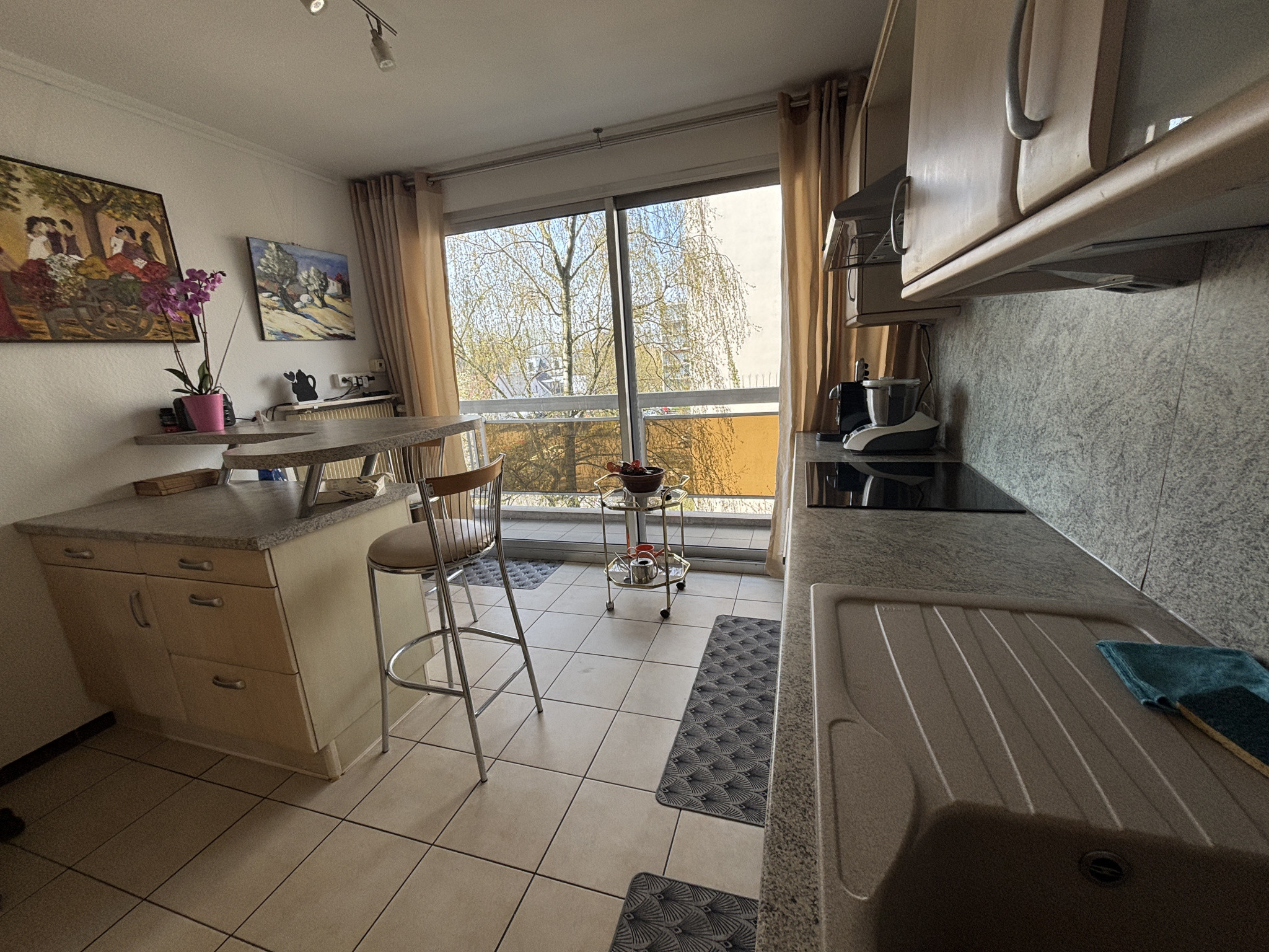 Appartement 3pièces en viager occupé