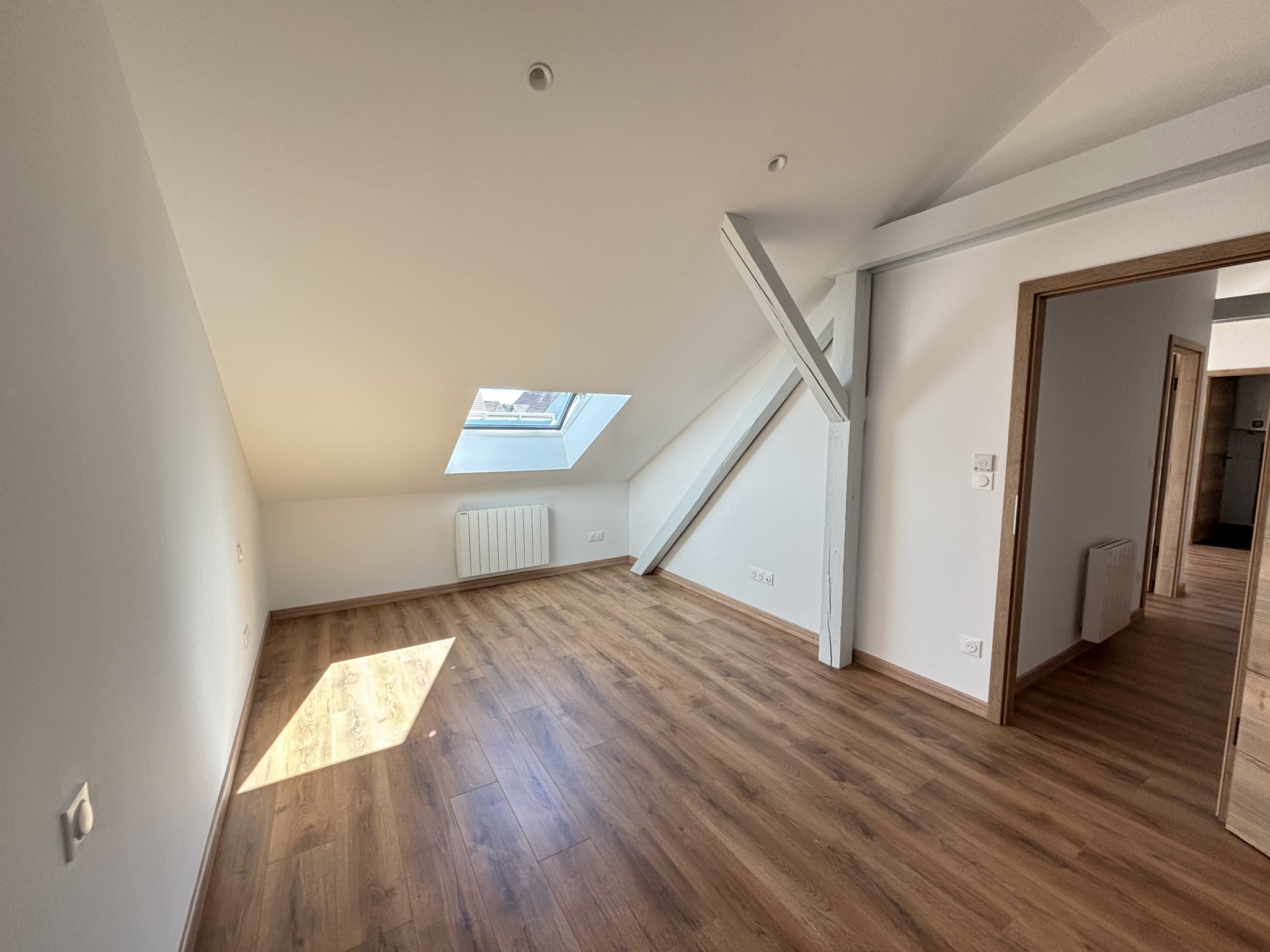 3 PIÈCES   41,10 M2 CARREZ   ENTIÈREMENT RÉNOVÉ