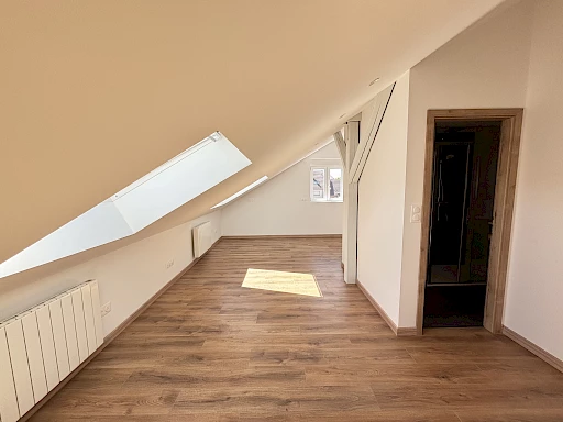 3 PIÈCES   41,10 M2 CARREZ   ENTIÈREMENT RÉNOVÉ