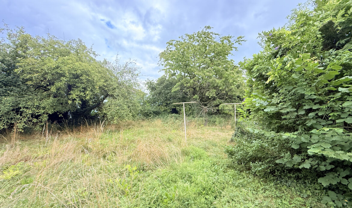 ed024494.jpg