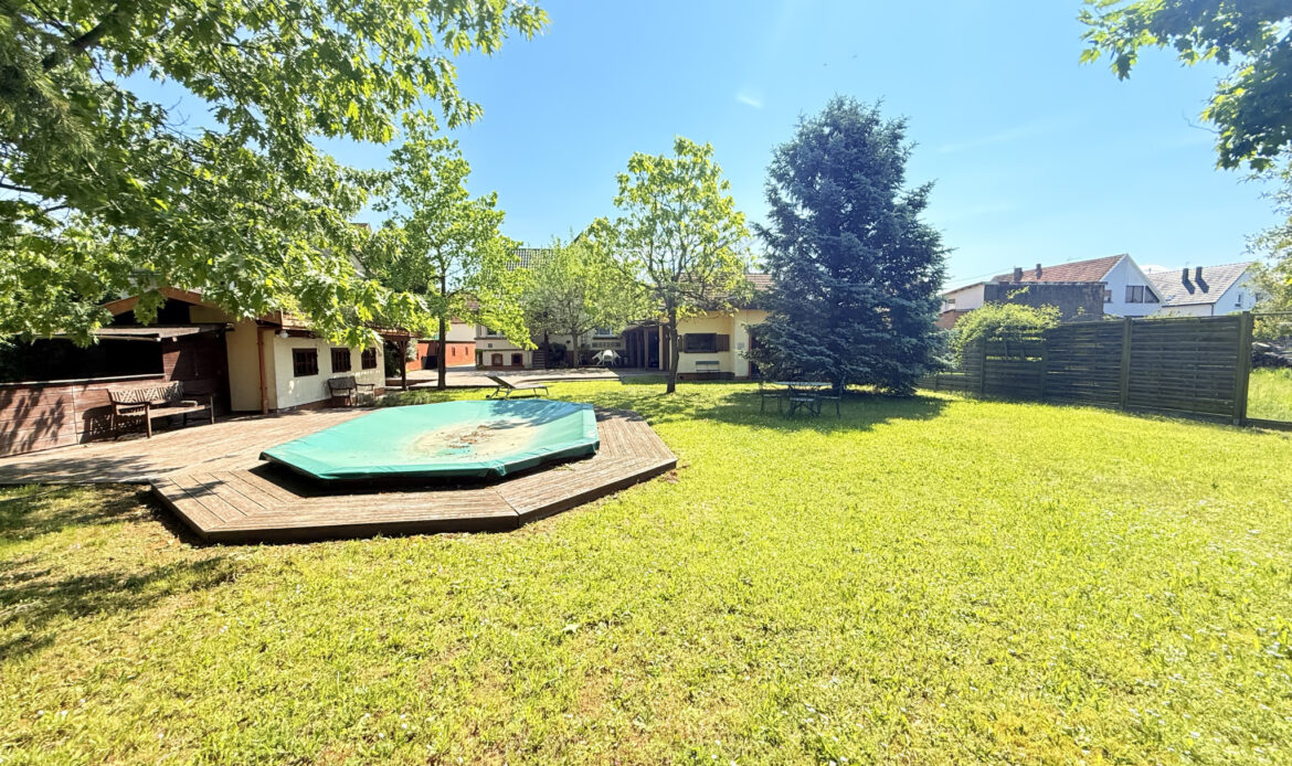 d3301719.jpg