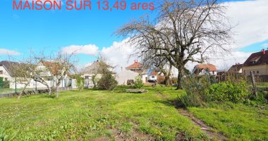 46bd650a